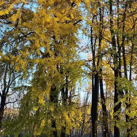 Appartement La Pace Milan